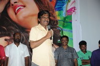 Pyar Mein Padipoyane Platinum Disc Function